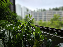The Criterion (D27), Condominium #446598931